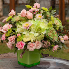Seller Image